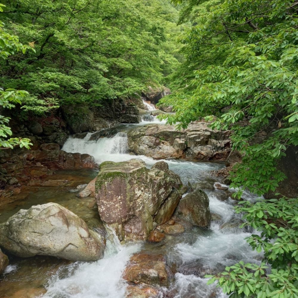 주변전경
